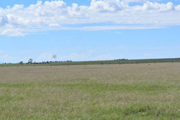 Listing Image #3 - Others for sale at 00 Sunrise Drive, Moriarty NM 87035