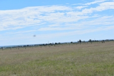 Listing Image #2 - Others for sale at 00 Sunrise Drive, Moriarty NM 87035