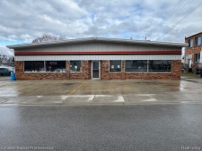 Others property for sale in Mayville, MI
