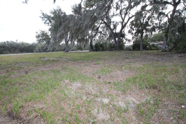 Listing Image #3 - Land for sale at 3814 E C-478, Webster FL 33597