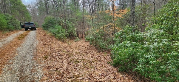Listing Image #3 - Land for sale at Lot 18 Gray Fox Trail, Blairsville GA 30512