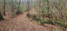 Land property for sale in Blairsville, GA