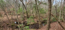 Listing Image #2 - Land for sale at Lot 18 Gray Fox Trail, Blairsville GA 30512