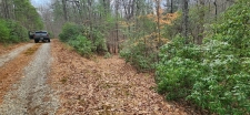 Listing Image #3 - Land for sale at Lot 18 Gray Fox Trail, Blairsville GA 30512