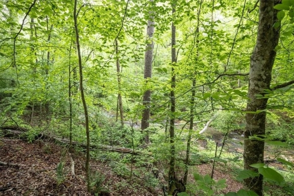 Listing Image #2 - Others for sale at 00 Hidden Creek Road, Jasper GA 30143