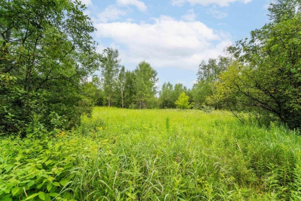 Listing Image #3 - Others for sale at KRUEGERS QUARRY Road, OCONTO WI 54153