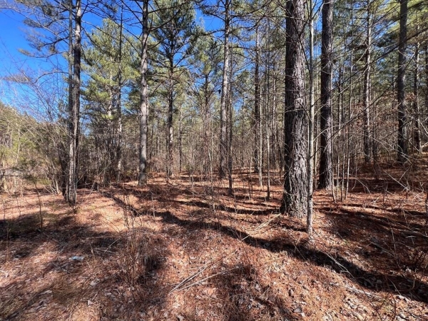 Listing Image #1 - Land for sale at Lot 50 Deyton Drive, Blairsville GA 30512