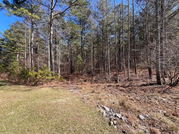 Listing Image #2 - Land for sale at Lot 50 Deyton Drive, Blairsville GA 30512