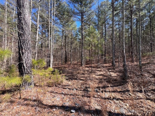 Listing Image #3 - Land for sale at Lot 50 Deyton Drive, Blairsville GA 30512
