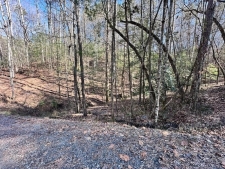 Land property for sale in Ellijay, GA