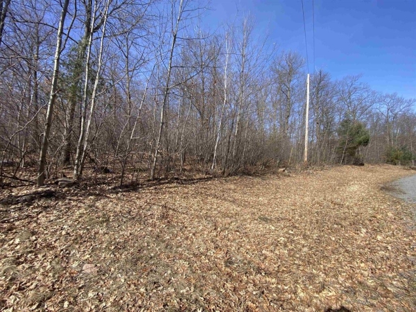 Listing Image #3 - Land for sale at Lots 3,5,6 Acorn Ridge Road, Mosinee WI 54455