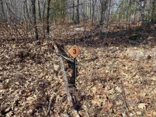 Land property for sale in Mosinee, WI