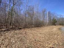 Listing Image #3 - Land for sale at Lots 3,5,6 Acorn Ridge Road, Mosinee WI 54455