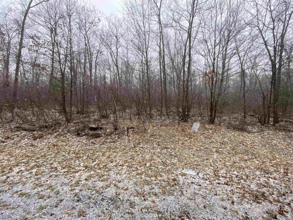 Listing Image #2 - Land for sale at Lot 5 Acorn Ridge Road, Mosinee WI 54455