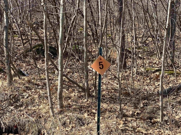 Listing Image #3 - Land for sale at Lot 5 Acorn Ridge Road, Mosinee WI 54455