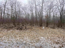 Listing Image #2 - Land for sale at Lot 5 Acorn Ridge Road, Mosinee WI 54455
