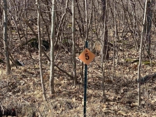 Listing Image #3 - Land for sale at Lot 5 Acorn Ridge Road, Mosinee WI 54455