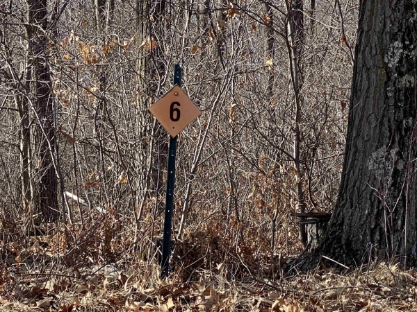 Listing Image #2 - Land for sale at Lot 6 Acorn Ridge Road, Mosinee WI 54455