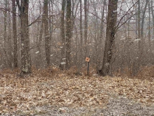 Land property for sale in Mosinee, WI