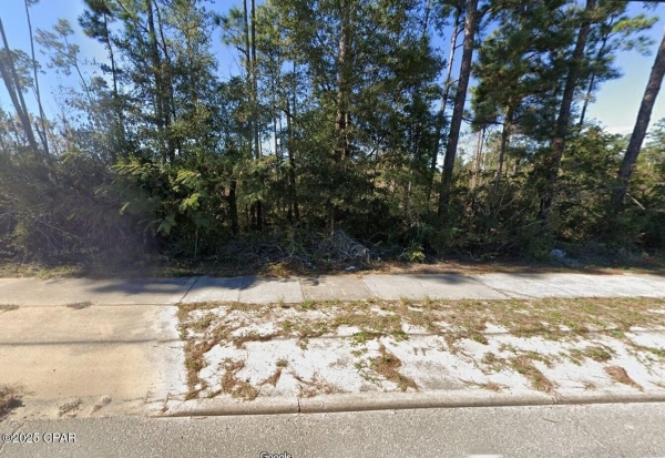 Listing Image #2 - Others for sale at 0 Us-231, Fountain FL 32438