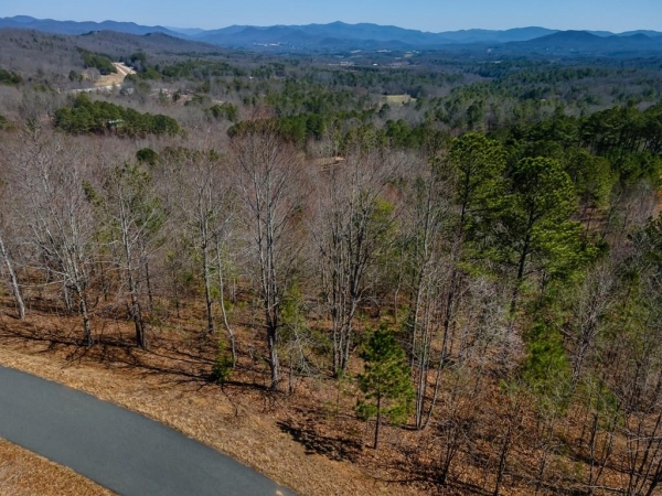 Listing Image #2 - Land for sale at Lot 38 The Hills At Queens Gap, Blairsville GA 30512