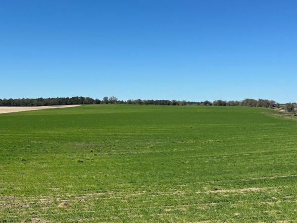 Listing Image #1 - Others for sale at NW 225th Avenue, Dunnellon FL 34431