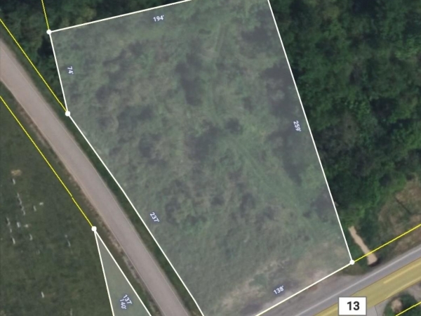 Listing Image #2 - Land for sale at Highway 13, Palmyra TN 37142