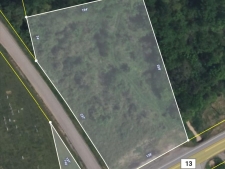 Listing Image #2 - Land for sale at Highway 13, Palmyra TN 37142