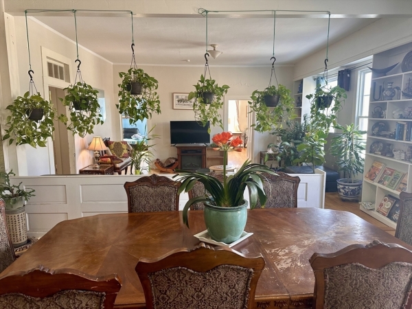 Listing Image #2 - Retail for sale at 127 Main St, Charlemont MA 01339