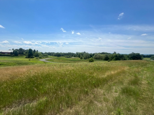 Listing Image #1 - Land for sale at 553 Krumkill Road, Albany NY 12203