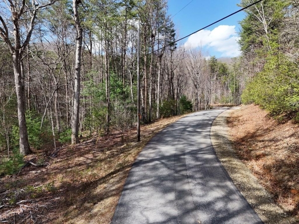 Listing Image #2 - Land for sale at LL321 Turkey Trot, Blairsville GA 30512