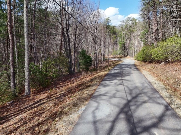 Listing Image #3 - Land for sale at LL321 Turkey Trot, Blairsville GA 30512
