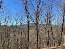 Land property for sale in Warne, NC
