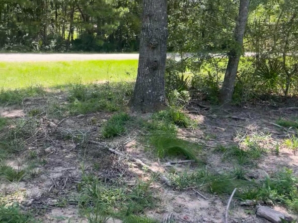 Listing Image #1 - Land for sale at 56 Firewood Road, Huntsville TX 77340