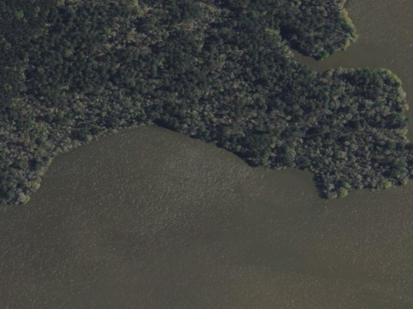 Listing Image #3 - Land for sale at 56 Firewood Road, Huntsville TX 77340