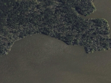 Listing Image #3 - Land for sale at 56 Firewood Road, Huntsville TX 77340