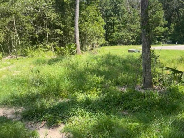 Listing Image #2 - Land for sale at 58 Firewood Road, Huntsville TX 77340