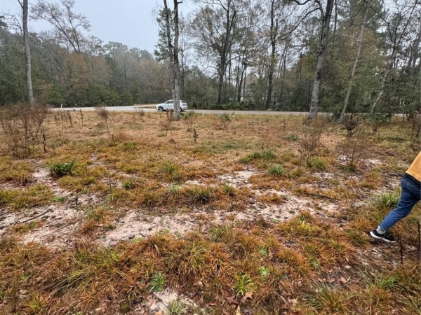 Listing Image #3 - Land for sale at 58 Firewood Road, Huntsville TX 77340