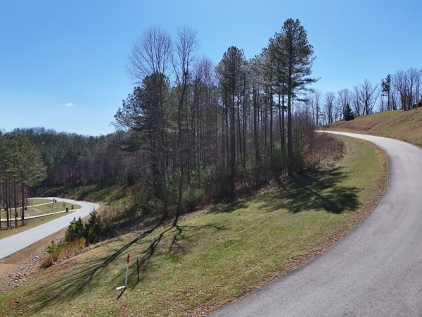 Listing Image #2 - Land for sale at Lot 54 Deyton Drive, Blairsville GA 30512