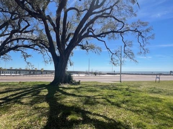 Listing Image #3 - Land for sale at 964 Beach Boulevard, Biloxi MS 39530