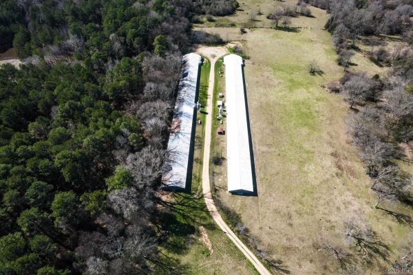 Listing Image #2 - Others for sale at 2917 FM 3359, Carthage TX 75633