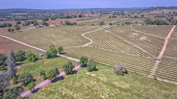 Listing Image #1 - Land for sale at Shenandoah School Road, Plymouth CA 95669