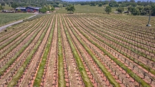 Listing Image #2 - Land for sale at Shenandoah School Road, Plymouth CA 95669