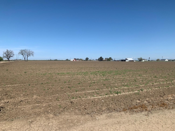 Listing Image #2 - Land for sale at Santa Lucia Avenue, Los Banos CA 93635