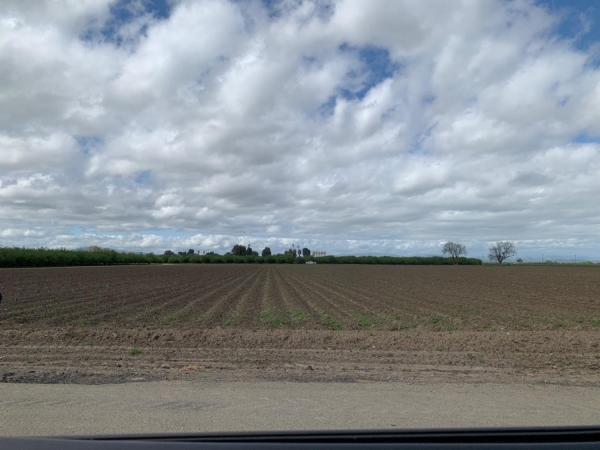 Listing Image #3 - Land for sale at Santa Lucia Avenue, Los Banos CA 93635