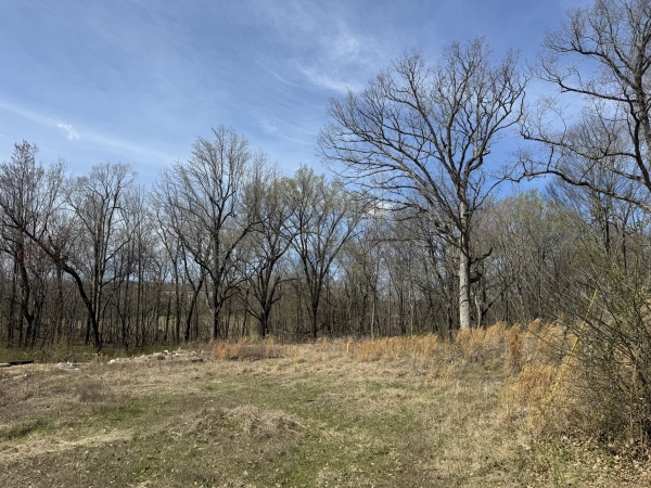 Listing Image #1 - Land for sale at West Market, Poplar Bluff MO 63901