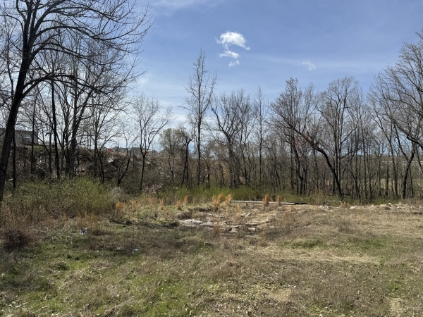 Listing Image #2 - Land for sale at West Market, Poplar Bluff MO 63901