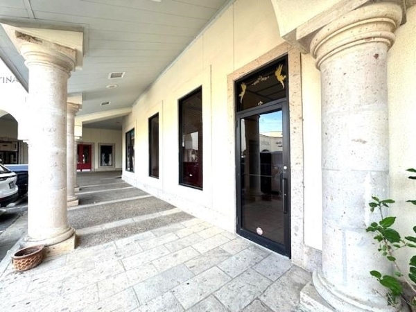 Listing Image #3 - Retail for sale at 107 Calle Del Norte, LAREDO TX 78041