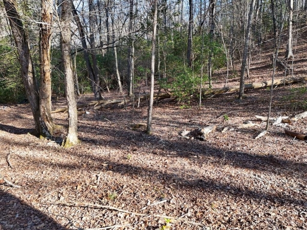 Listing Image #3 - Land for sale at 300 Kaleb Trail, Mineral Bluff GA 30559