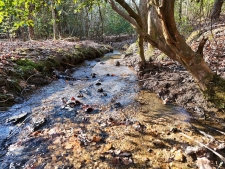 Land property for sale in Mineral Bluff, GA